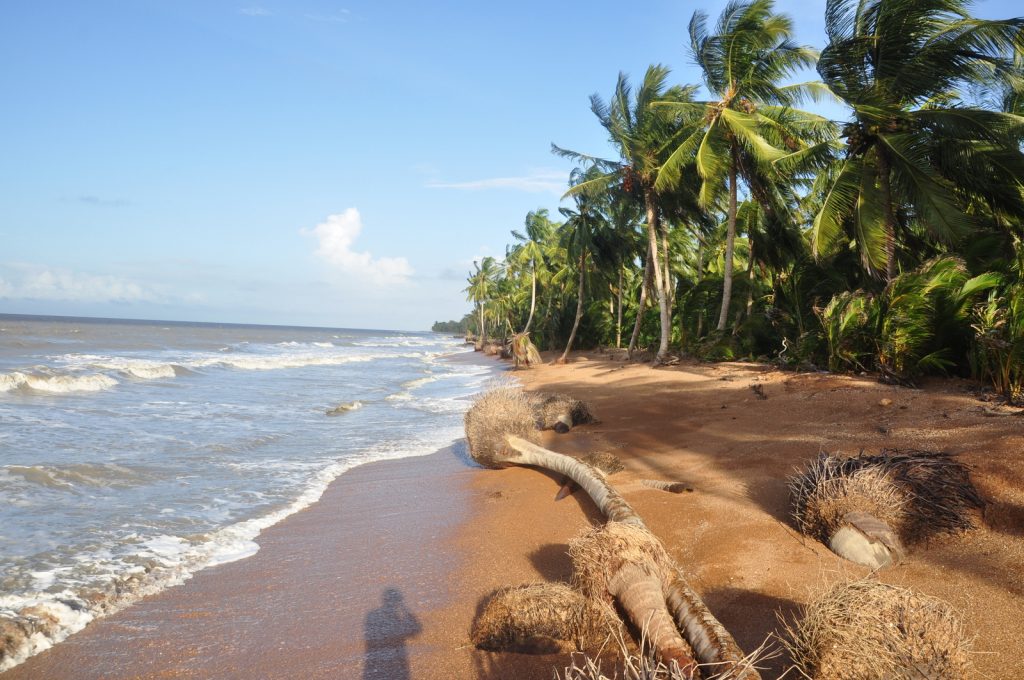 Shell Beach - Travel Guyana