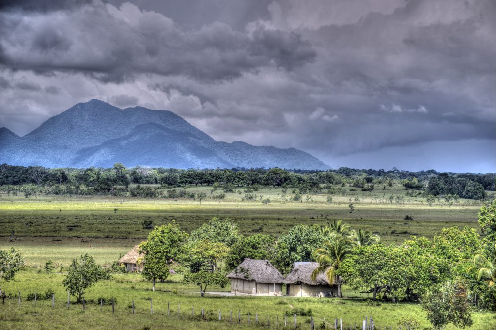 Spotlight on Rupununi Savannah: The Ultimate Guyanese Adventure