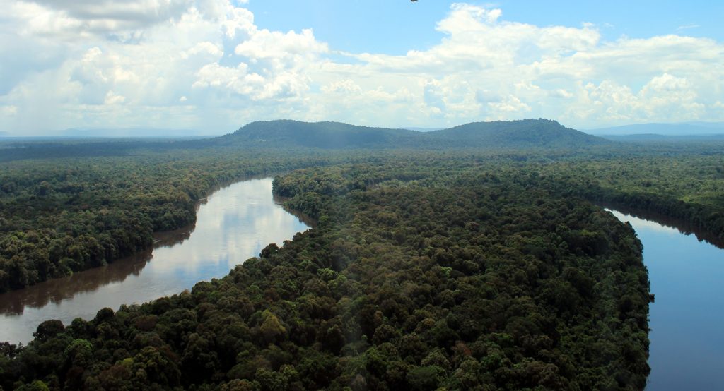 Iwokrama Rainforest - travel guyana