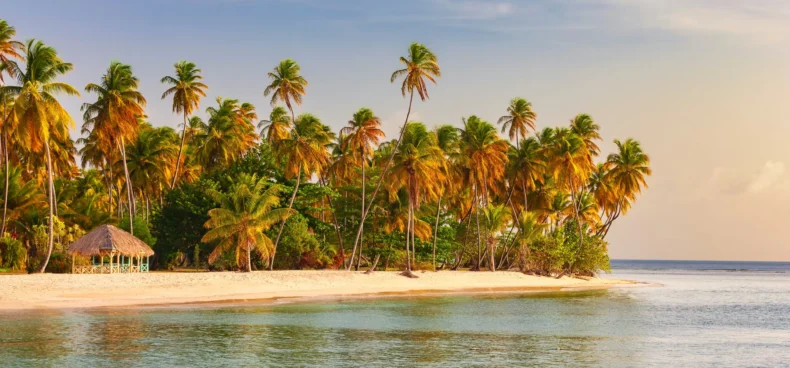 Tobago Island- The Secret Jewel of the Caribbean That Guyanese Travellers Are Falling in Love With