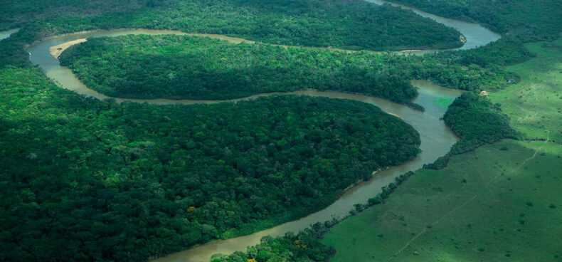 From Bean to Bar 2025: Discovering Guyana’s Cocoa & Chocolate Tourism Revolution