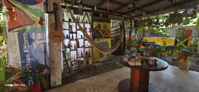 Discover Georgetown's Best Kept Culinary Secret: Delven Adams' Backyard Café