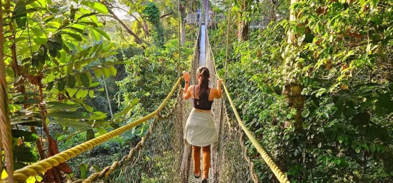 Iwokrama Canopy Walkway: Guyana's Ultimate Treetop Adventure