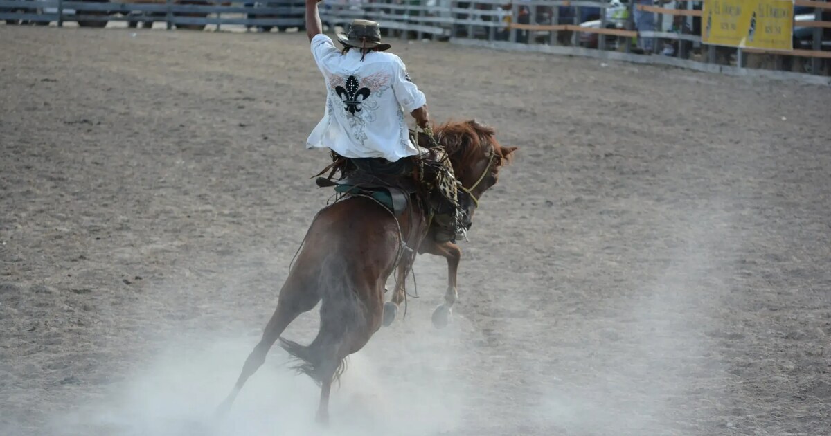 The Ultimate Guide to the Rupununi Rodeo 2026 in Lethem, Guyana