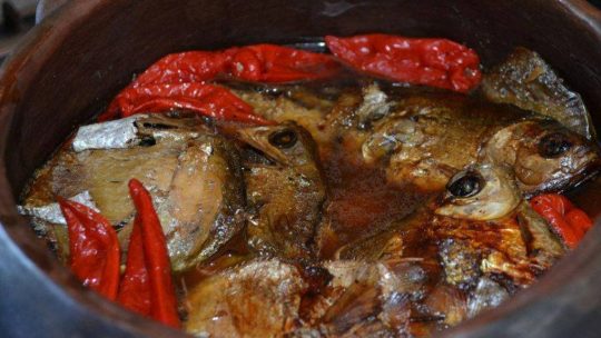 Tuma-Fish-with-hot-peppers_COVER